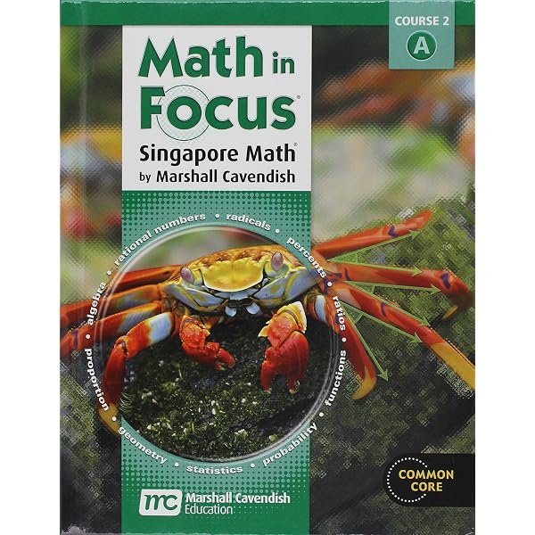 Amazon.com: Math in Focus: Singapore Math Volume B Grade 7